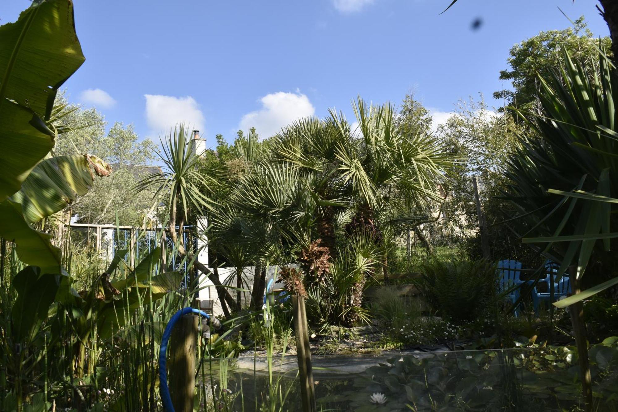Gite "Rose Des Vents" - 800M De La Plage - Proche Commerces - Piscine En Juillet Et Aout Surtainville Bagian luar foto